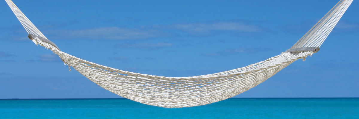 LPL Financial banner